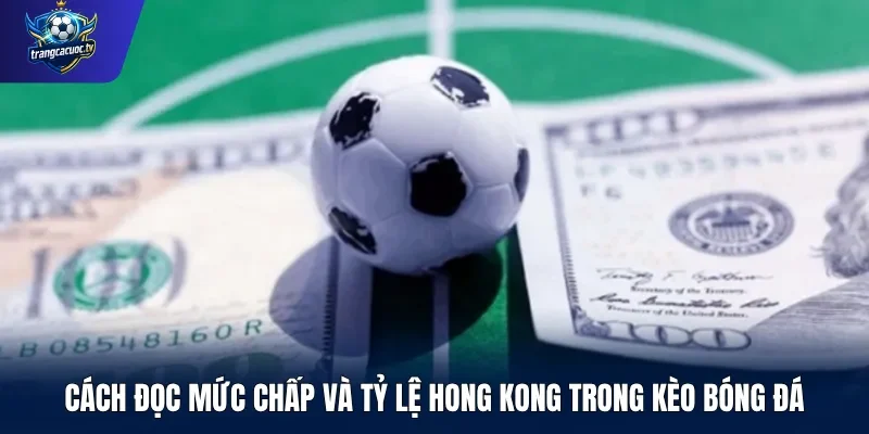 Cách đọc mức chấp và tỷ lệ Hong Kong trong kèo bóng đá