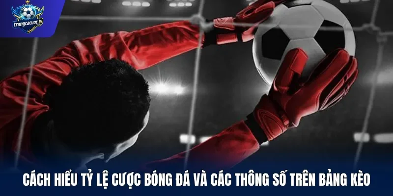Cách hiểu tỷ lệ cược bóng đá và các thông số trên bảng kèo