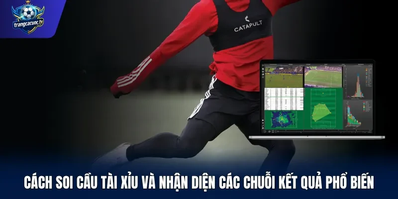 Cách soi cầu tài xỉu và nhận diện các chuỗi kết quả phổ biến