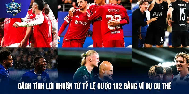 Cách tính lợi nhuận từ tỷ lệ cược 1X2 bằng ví dụ cụ thể