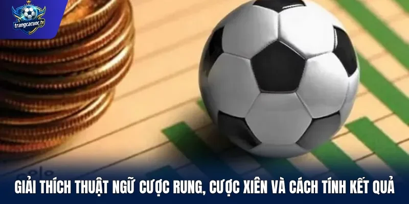 Giải thích thuật ngữ cược rung, cược xiên và cách tính kết quả
