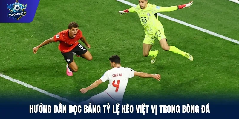 Hướng dẫn đọc bảng tỷ lệ kèo việt vị trong bóng đá