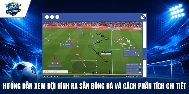 Hướng Dẫn Xem Đội Hình Ra Sân Bóng Đá Và Cách Phân Tích Chi Tiết