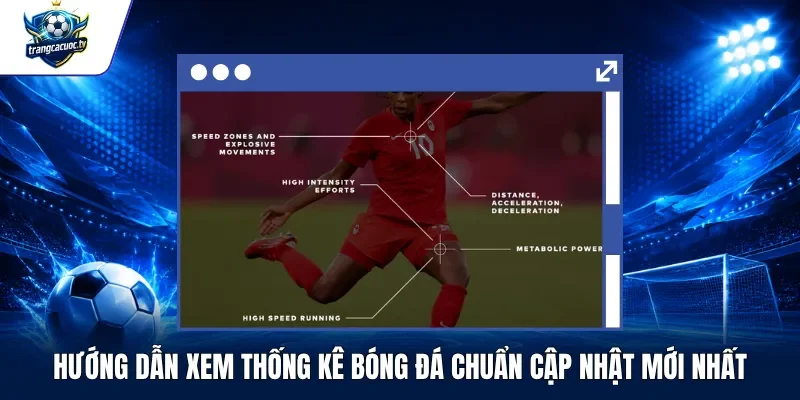 Hướng Dẫn Xem Thống Kê Bóng Đá Chuẩn Cập Nhật Mới Nhất