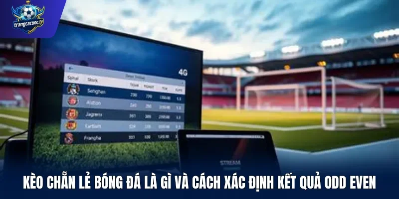Kèo chẵn lẻ bóng đá là gì và cách xác định kết quả Odd Even