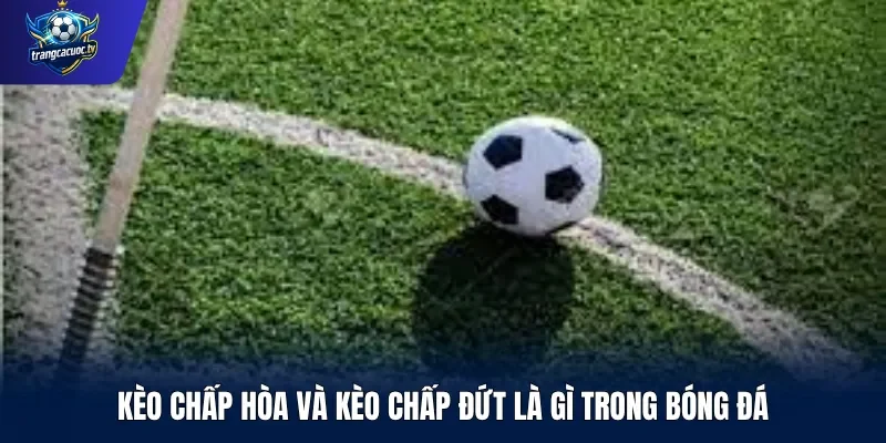 Kèo chấp hòa và kèo chấp đứt là gì trong bóng đá