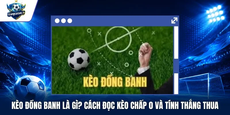Kèo Đồng Banh Là Gì Cách Đọc Kèo Chấp 0 Và Tính Thắng Thua
