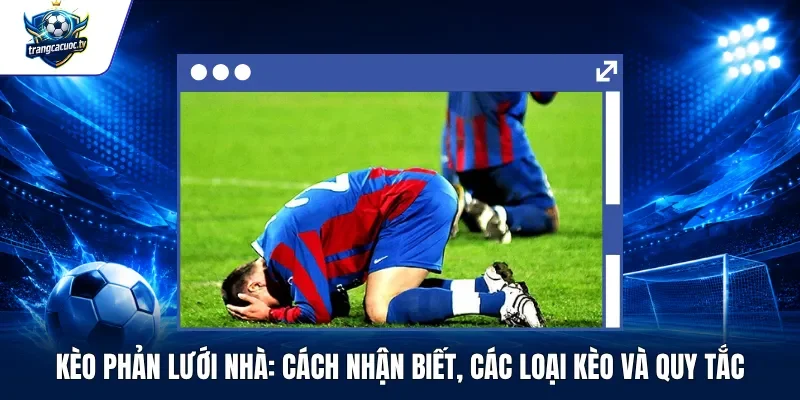 Kèo Phản Lưới Nhà Cách Nhận Biết, Các Loại Kèo Và Quy Tắc