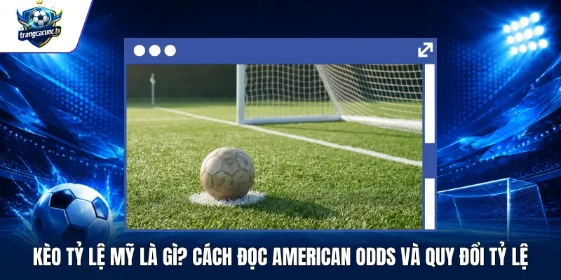 Kèo Tỷ Lệ Mỹ Là Gì Cách Đọc American Odds Và Quy Đổi Tỷ Lệ