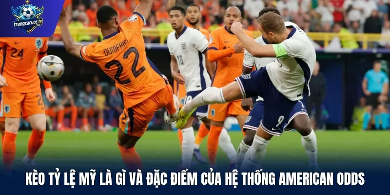 Kèo tỷ lệ Mỹ là gì và đặc điểm của hệ thống American Odds