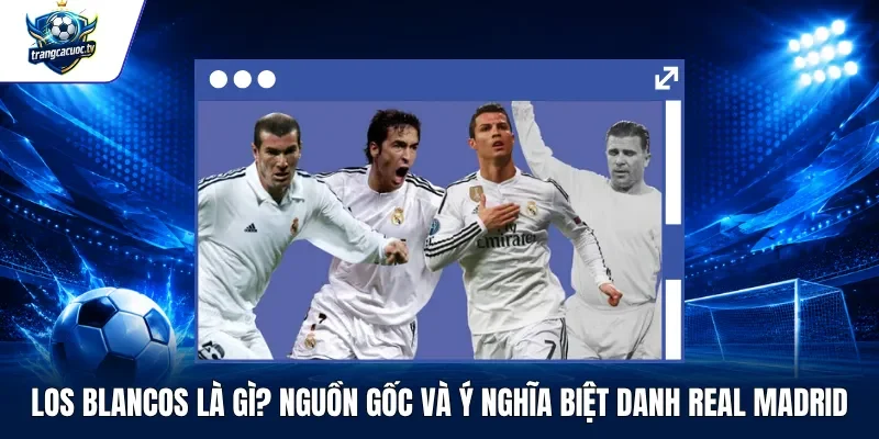 Los Blancos Là Gì Nguồn Gốc Và Ý Nghĩa Biệt Danh Real Madrid