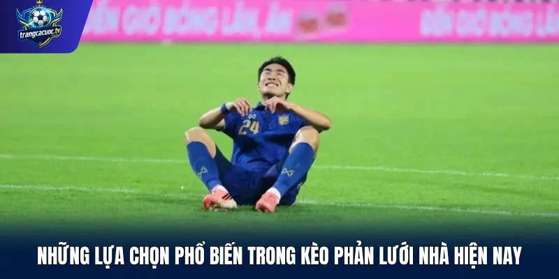 Những lựa chọn phổ biến trong kèo phản lưới nhà hiện nay