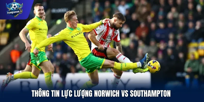 Thông tin lực lượng Norwich vs Southampton