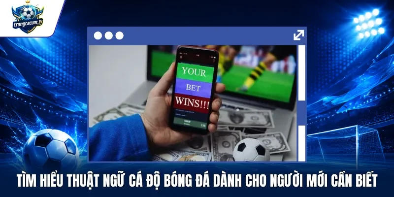 Tìm Hiểu Thuật Ngữ Cá Độ Bóng Đá Dành Cho Người Mới Cần Biết