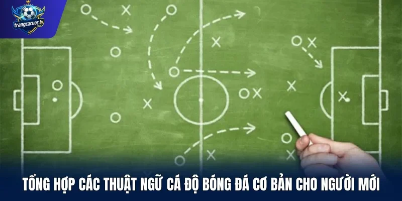 Tổng hợp các thuật ngữ cá độ bóng đá cơ bản cho người mới