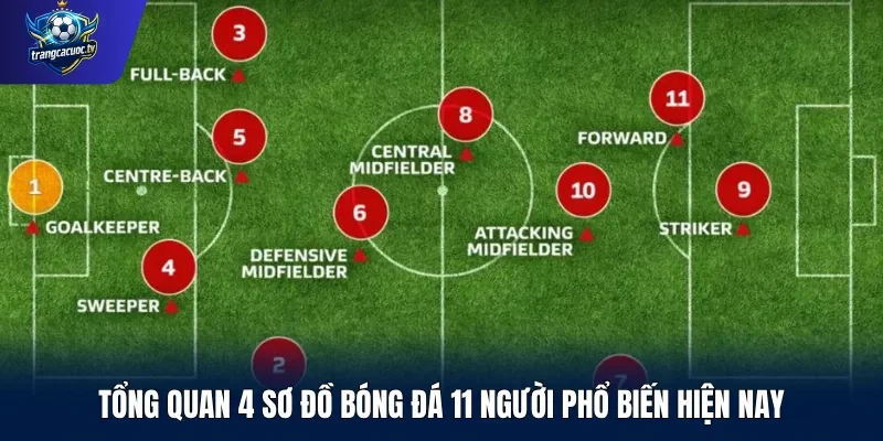 Tổng quan 4 sơ đồ bóng đá 11 người phổ biến hiện nay